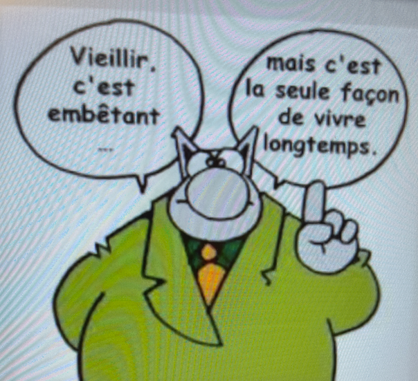 Le chat - blague